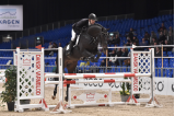 Hest springer over forhindring til Hingstekåring I 2015