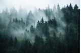 Skov i tågebanke